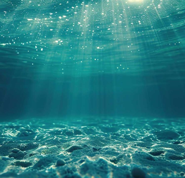 Calm The Waves Therapy