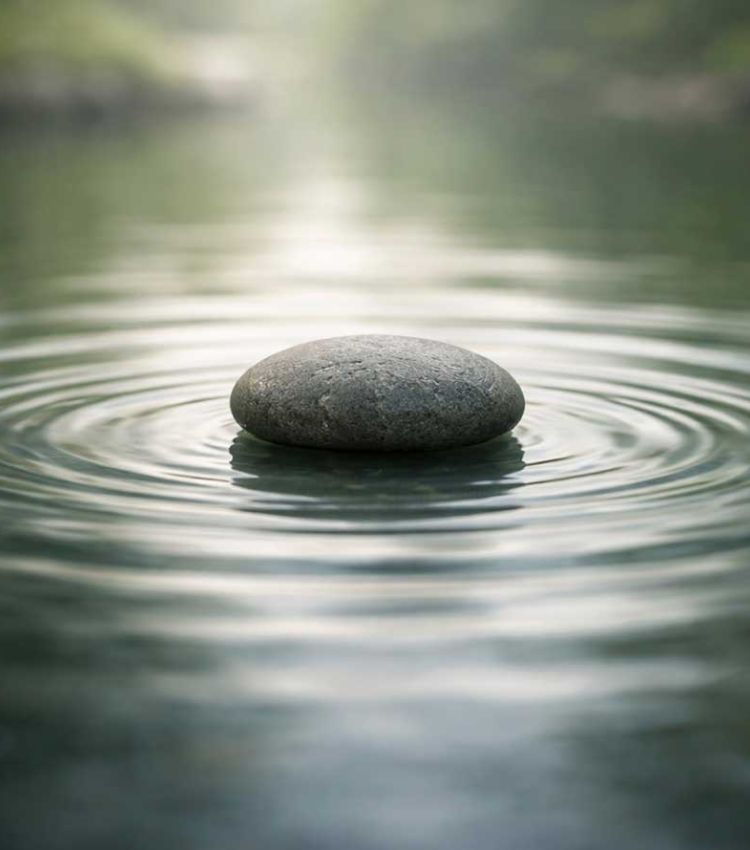 Professional Training